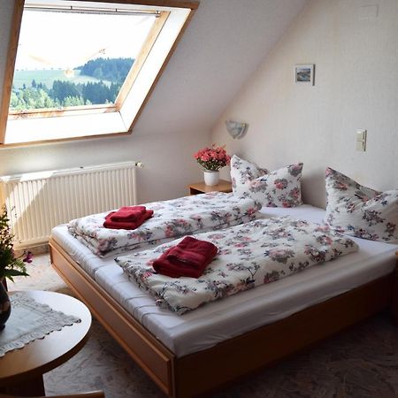 Hotel Carola Schönheide Esterno foto