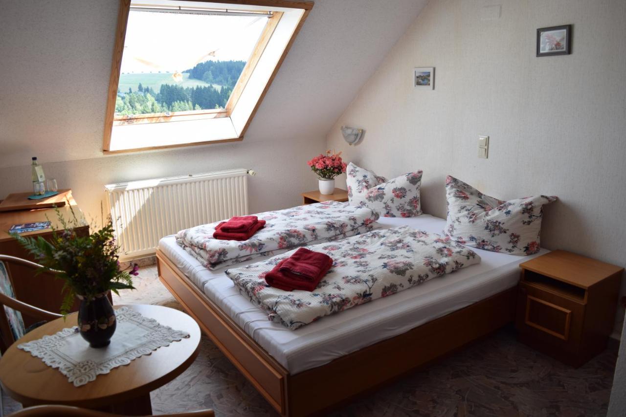 Hotel Carola Schönheide Esterno foto